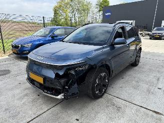 Kia Niro e-Niro Executive Line 64.8 kWh-SCHUIFDAK-LEDER-CAMERA-NAVI picture 2