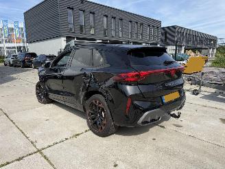 Cupra Terramar 1.5 TSI e-Hybrid VZ Performance 272PK PANO - LED - KEYLESS - HUD picture 4