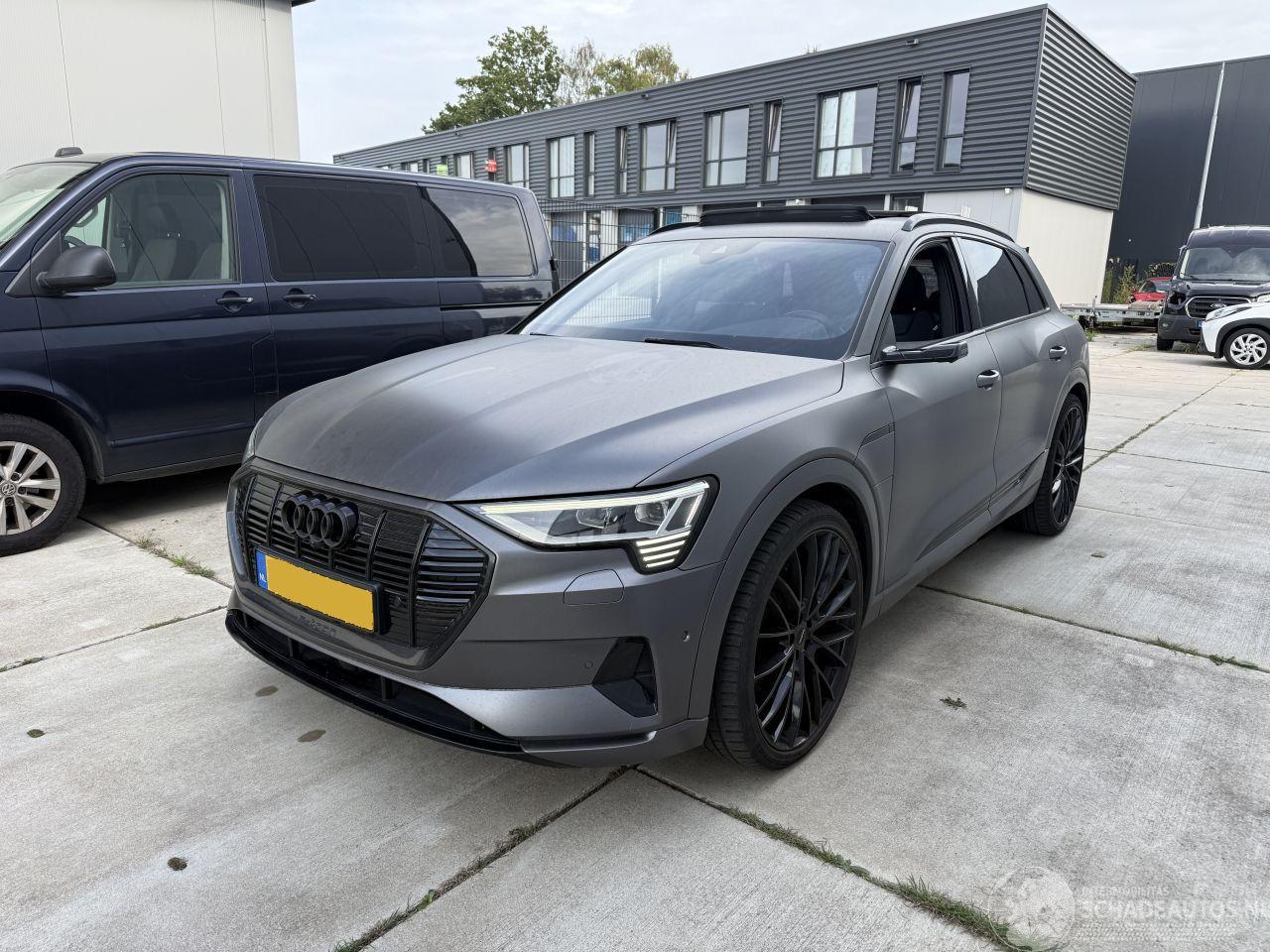 Audi E-tron 55 QUATRO Advanced 95 kWh -LEDER-NAVI-360 CAMERA-PANO