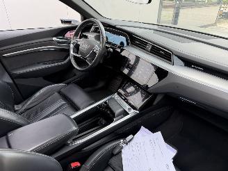 Audi E-tron 55Quatro 95 kWh 360 CAMERA-NAVI-LEDER-PANO-408 PK picture 6