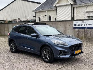 Ford Kuga 2.5 PHEV St-Line X Pano picture 2
