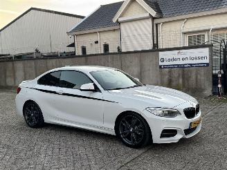 BMW 2-serie M235i 326Pk Harman Kardon Geen Schade picture 2