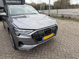 Audi E-tron 50 Quattro 71Kwh Launch Edition Plus Pano Nap Nederlandse Auto picture 17