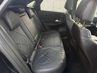 DS Automobiles DS 7 Crossback E-Tense 4X4 So Chic 285Pk Ds PerformanceLine Pano picture 17