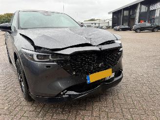 Mazda CX-5 2.5 eSkyActive-G M Hybrid 194 Newground Bose Head-Up 360Camera picture 18