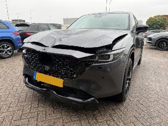 Mazda CX-5 2.5 eSkyActive-G M Hybrid 194 Newground Bose Head-Up 360Camera picture 17