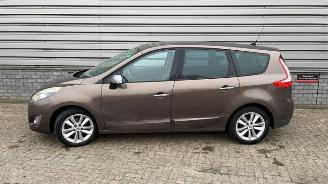 Renault Grand-scenic Grand Scenic III (JZ), MPV, 2009 / 2016 1.4 16V TCe 130 picture 7