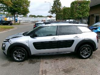 Citroën C4 cactus PURETECH BUSINESS CLIMA NAVI PANO picture 2