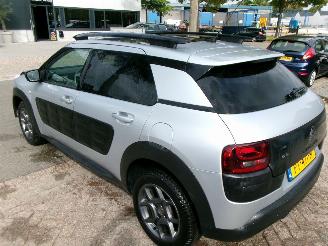 Citroën C4 cactus PURETECH BUSINESS CLIMA NAVI PANO picture 10