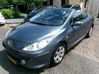 škoda osobní automobily Peugeot 307 1.6-16V CABRIOLET CLIMA LEDER 2009/2