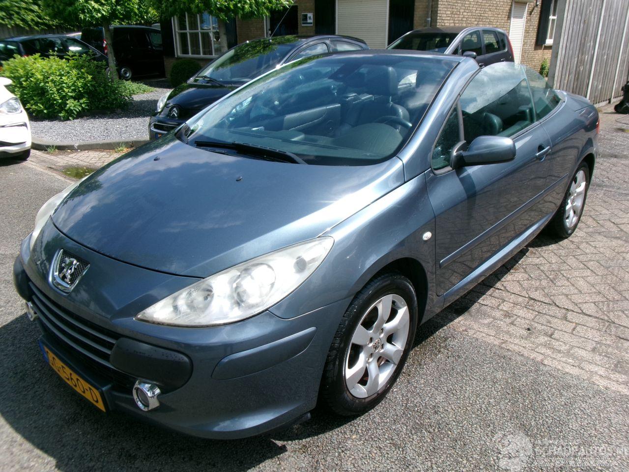 Peugeot 307 1.6-16V CABRIOLET CLIMA LEDER