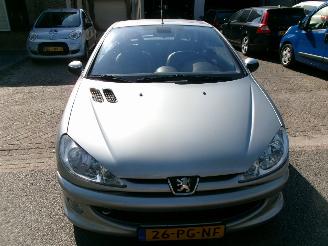 Peugeot 206 1.6-16V ROLAND-GARROS CABRIO picture 3