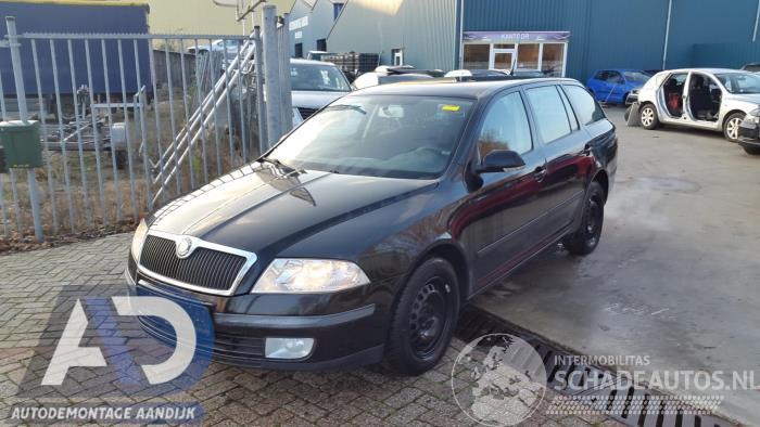 Skoda Octavia Octavia Combi (1Z5), Combi 5-drs, 2004 / 2013 1.9 TDI 4x4