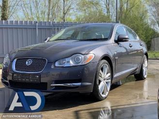 demontáž osobní automobily Jaguar XF XF (CC9), Sedan, 2008 / 2015 3.0 D V6 24V 2010