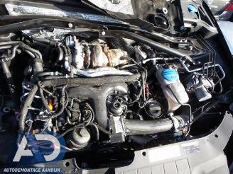 Audi SQ5 SQ5 (8RB), SUV, 2012 / 2017 3.0 TDI V6 24V picture 5