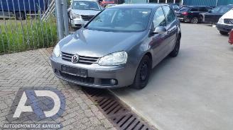 Salvage car Volkswagen Golf Golf V (1K1), Hatchback, 2003 / 2010 1.9 TDI 2007