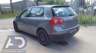 Volkswagen Golf Golf V (1K1), Hatchback, 2003 / 2010 1.9 TDI picture 6