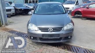Volkswagen Golf Golf V (1K1), Hatchback, 2003 / 2010 1.9 TDI picture 2