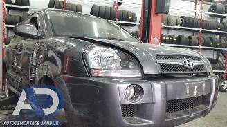 Hyundai Tucson Tucson (JM), SUV, 2004 / 2010 2.0 16V CVVT 4x2 picture 3
