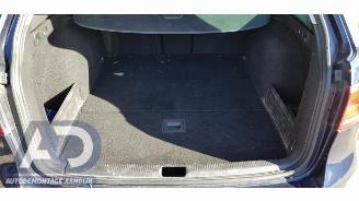 Volkswagen Passat Passat Variant (365), Combi, 2010 / 2015 2.0 TSI 16V picture 25
