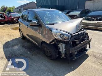Kia Picanto Picanto (TA), Hatchback, 2011 / 2017 1.0 12V picture 3