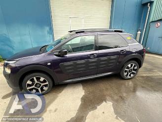 Citroën C4 cactus C4 Cactus (0B/0P), Hatchback 5-drs, 2014 1.2 PureTech 82 12V picture 8