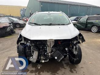 Ford EcoSport EcoSport (JK8), SUV, 2013 1.0 EcoBoost 12V 125 picture 2