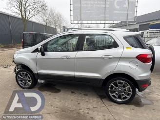Ford EcoSport EcoSport (JK8), SUV, 2013 1.0 EcoBoost 12V 125 picture 8