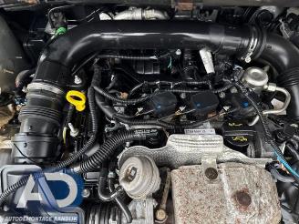 Ford EcoSport EcoSport (JK8), SUV, 2013 1.0 EcoBoost 12V 125 picture 19