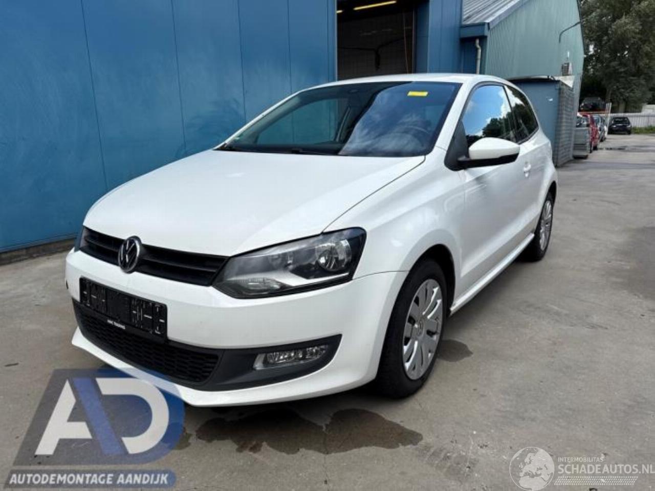 Volkswagen Polo Polo V (6R), Hatchback, 2009 / 2017 1.2 12V BlueMotion Technology