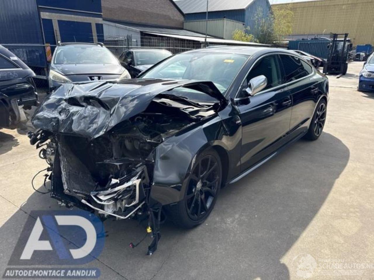 Audi A5 A5 Sportback (8TA), Liftback, 2009 / 2017 2.0 TFSI 16V Quattro
