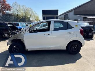 Kia Picanto Picanto (JA), Hatchback, 2017 1.0 12V picture 4