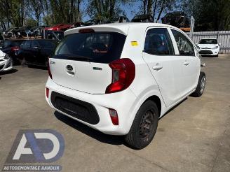 Vrakbiler auto Kia Picanto Picanto (JA), Hatchback, 2017 1.0 12V 2017/8