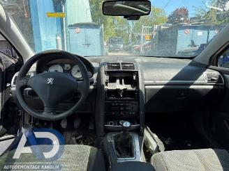 Peugeot 407 407 SW (6E), Combi, 2004 / 2010 2.0 16V picture 13