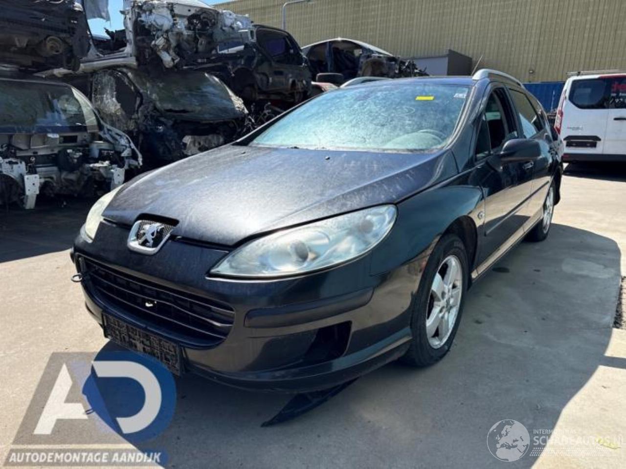 Peugeot 407 407 SW (6E), Combi, 2004 / 2010 2.0 16V