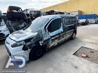 Ford Transit Connect Transit Connect (PJ2), Van, 2013 1.5 TDCi ECOnetic picture 8