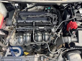 Ford Fiesta Fiesta 6 (JA8), Hatchback, 2008 / 2018 1.6 16V Sport picture 9