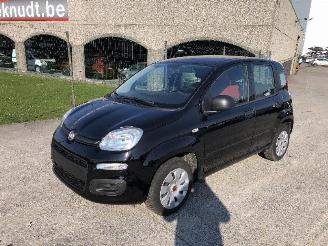 Fiat Panda 1.2 picture 4