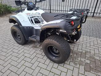 CFMoto  tgb blade 325 picture 3