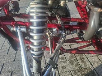 Yamaha  raptor 350 picture 12