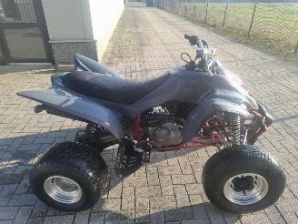 Avarii motociclete Yamaha  raptor 350 2008/1