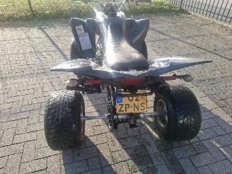 Yamaha  raptor 350 picture 3