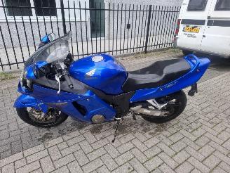 Honda CBR 1100 black bird picture 3