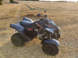 Kymco  300 maxxer picture 7