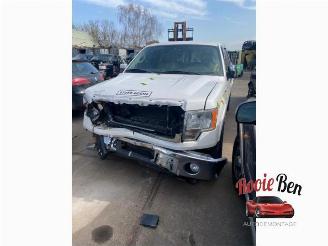 Coche siniestrado Ford USA F-150 F-150 Standard Cab, Pick-up, 2014 5.0 Extended Cab 2013/4