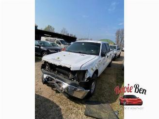 Sloopauto Ford USA F-150 F-150 Standard Cab, Pick-up, 2014 5.0 Crew Cab 2014/10
