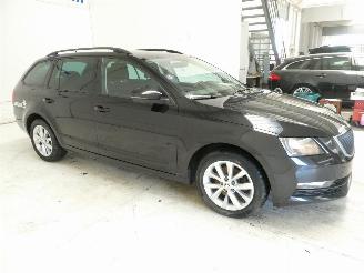 Skoda Octavia COMBO picture 8