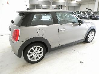 Mini One 1.5D  D picture 7