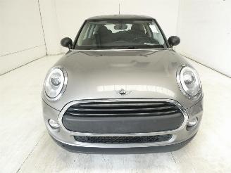 Mini One 1.5D  D picture 2