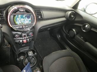 Mini One 1.5D  D picture 10